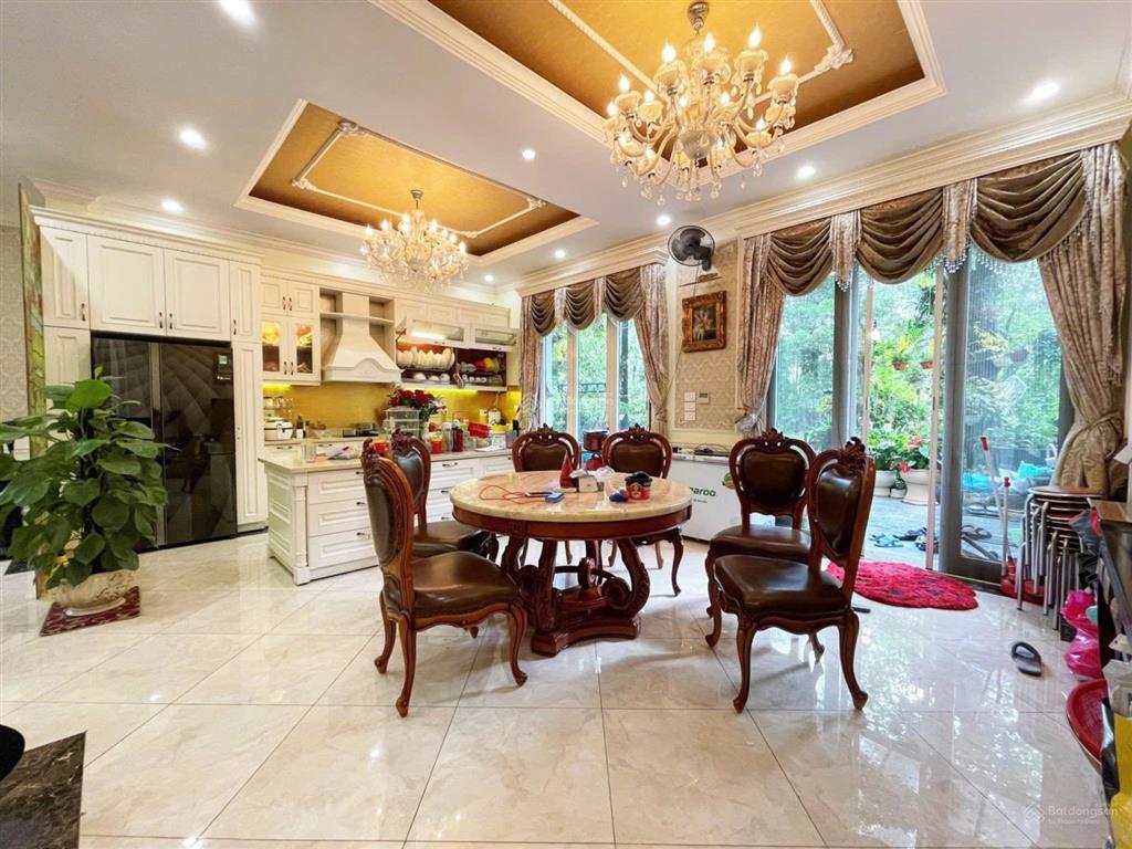 Cho thuê bt song lập hoa sữa 250m2, giá 46trieu, đường to, sông rộng, đủ nội thất. 0944 401 ***