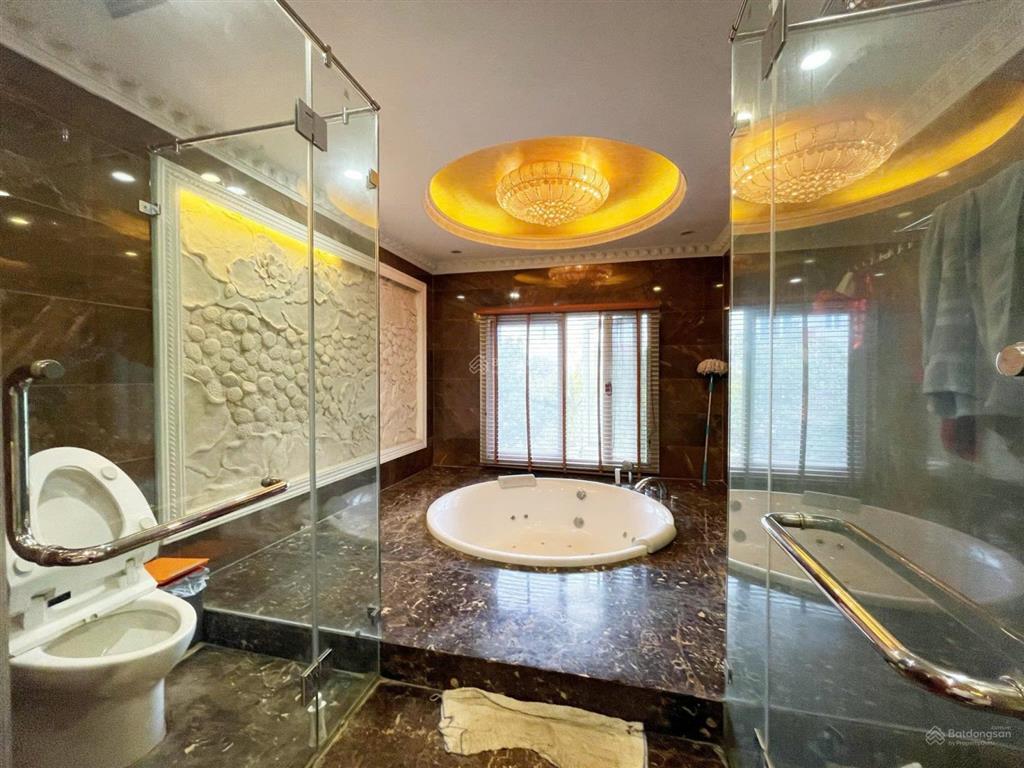 Cho thuê bt song lập hoa sữa 250m2, giá 46trieu, đường to, sông rộng, đủ nội thất. 0944 401 ***