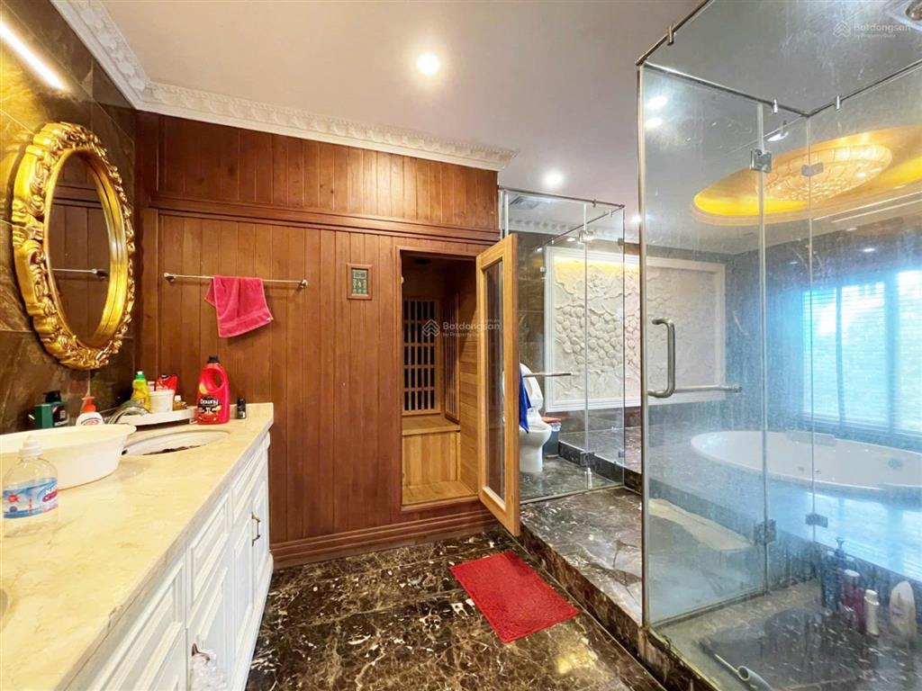 Cho thuê bt song lập hoa sữa 250m2, giá 46trieu, đường to, sông rộng, đủ nội thất. 0944 401 ***