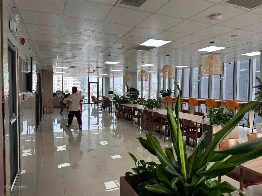 Siêu phẩm đường hai bà trưng, quận 3, dt 15x28m, hầm 4 tầng, hđt 320 triệu, giá 168 tỷ