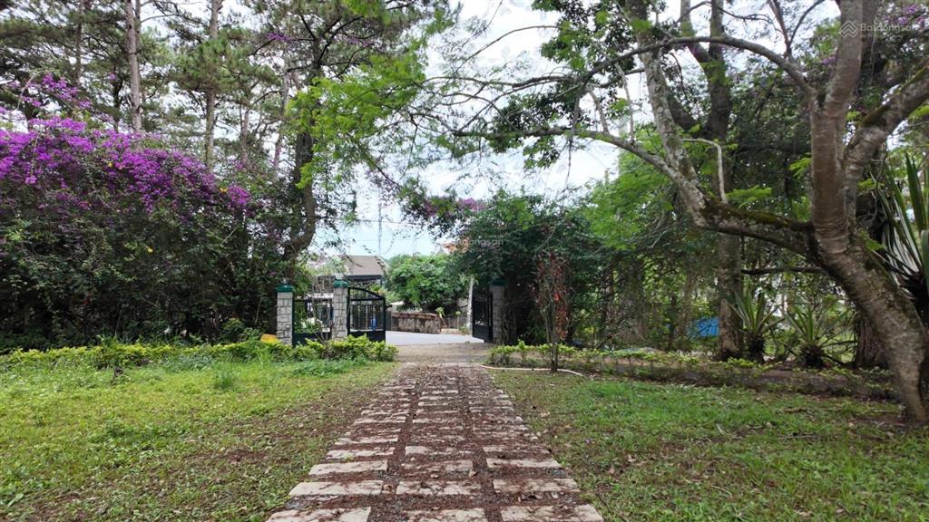Biểu tượng biệt thự đẳng cấp nhất đà lạt  giá bán 650 tỷ  thương lượng cho khách thiện chí