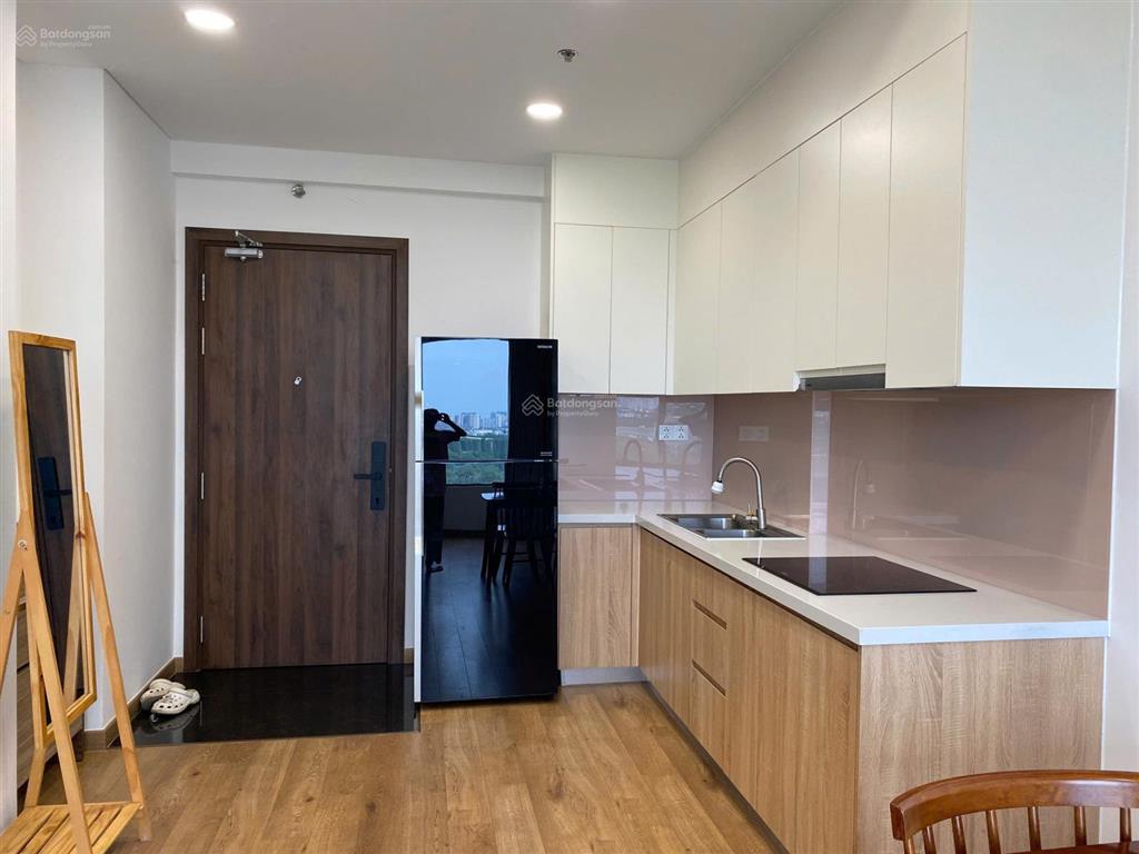 Cho thuê căn hộ 58m2 (2pn 1wc) view pháo hoa  bitexco, landmark | full nội thất