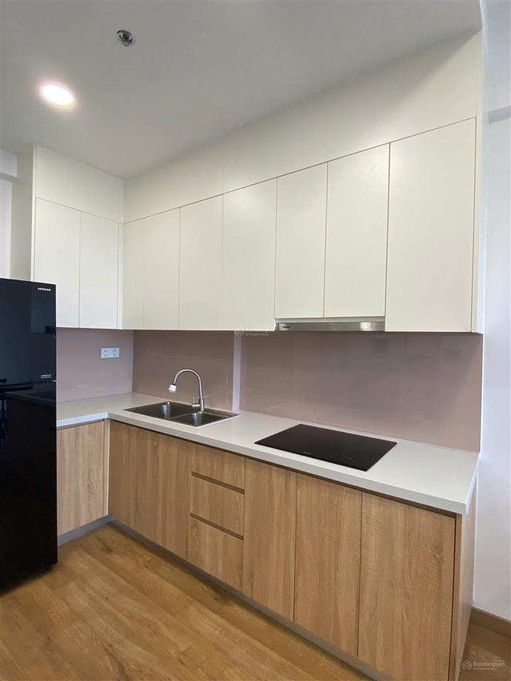 Cho thuê căn hộ 58m2 (2pn 1wc) view pháo hoa  bitexco, landmark | full nội thất