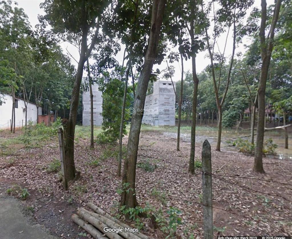 Bán gấp đất 3500m2 thổ cư 150m2, sẵn 2 căn nhà yến, tại tân định, bến cát, 11 tỷ có bớt