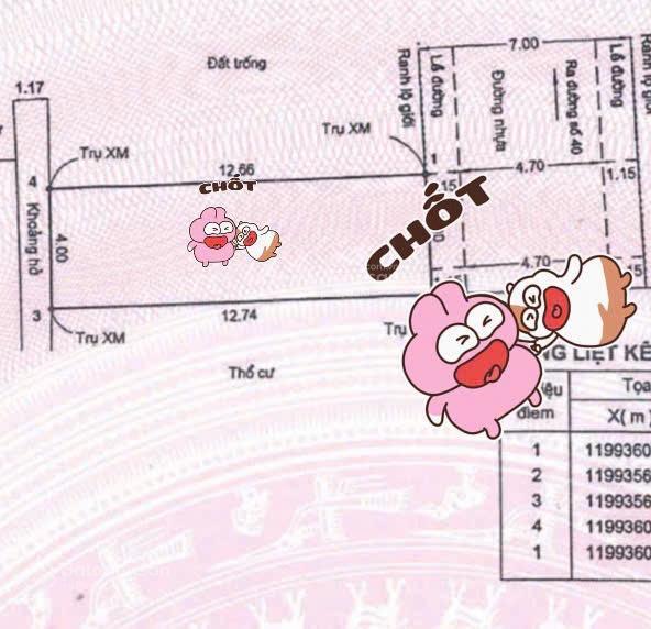 Hàng tuyệt chủng, hiệp bình chánh, thủ đức. gần phạm văn đồng. đường nhựa 7m.