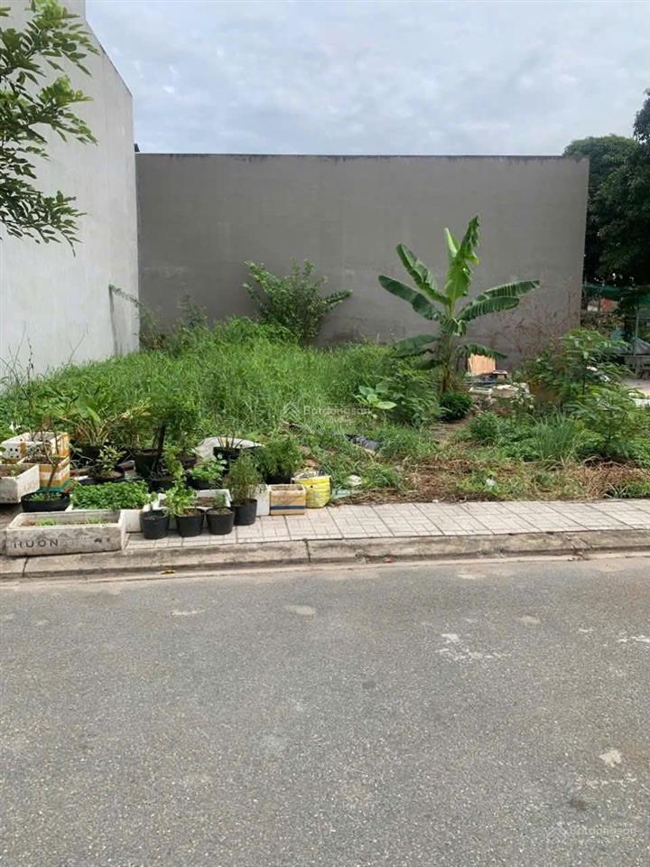 Đất đường tl10  bình chánh hàng ngộp giá rẻ đầu tư, ngay vành đai 3, diện tích 177m² giá 3 tỷ 1.