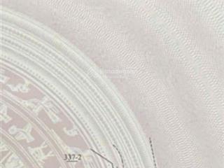 Bán 71m2 đất dịch vụ an thượng mặt tiền 5m  ở dãy 2 so với đường liên khu 8  hướng đông  sẵn sổ