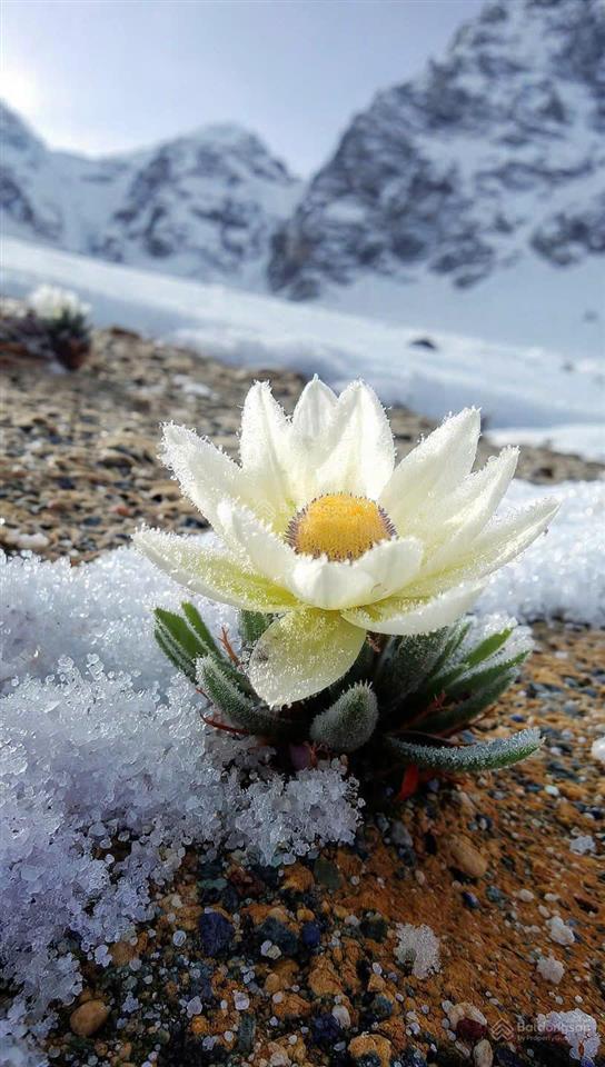 Mt kinh doanh thống nhất, p11, dt 6.5x27m, 3 lầu dct 65tr/th giá 19 tỷ