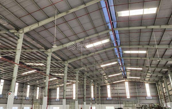 Chính chủ bán 7000m2 đất đối diện khu công nghiệp sóng thần, thủ dầu một, bình dương