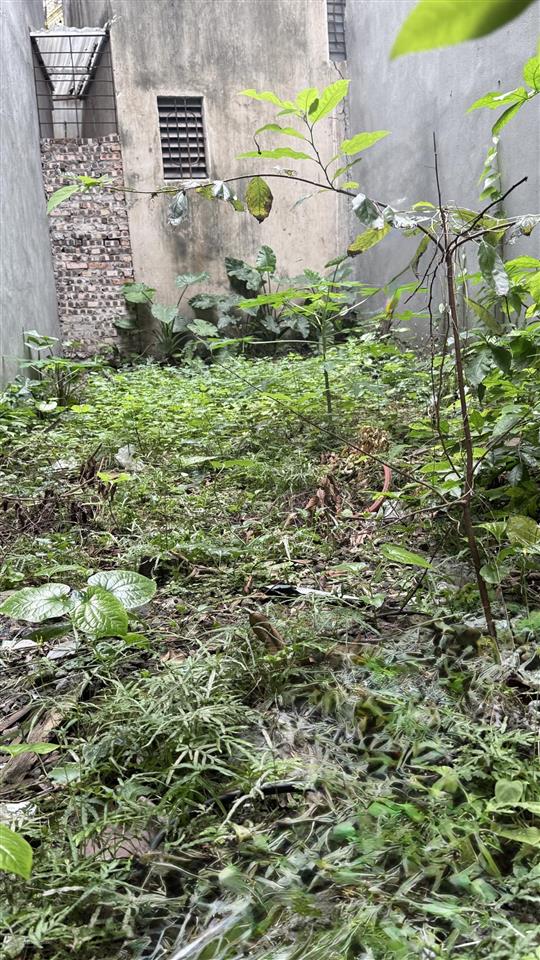 Chính chủ bán đất tại ngõ 254 minh khai, 3,5 tỷ, 33m2. gần phố, ôtô nhỏ khi cần, đầu tư giữ tiền