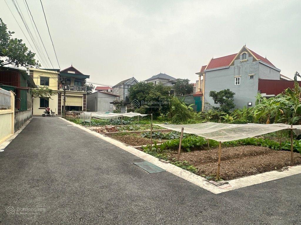 Nghĩa trụ văn giang 2,6 tỷ có lô đất 48m2 ô tô tránh, sát vin 2,3 đẳng cấp trâu âu, gần chợ trường