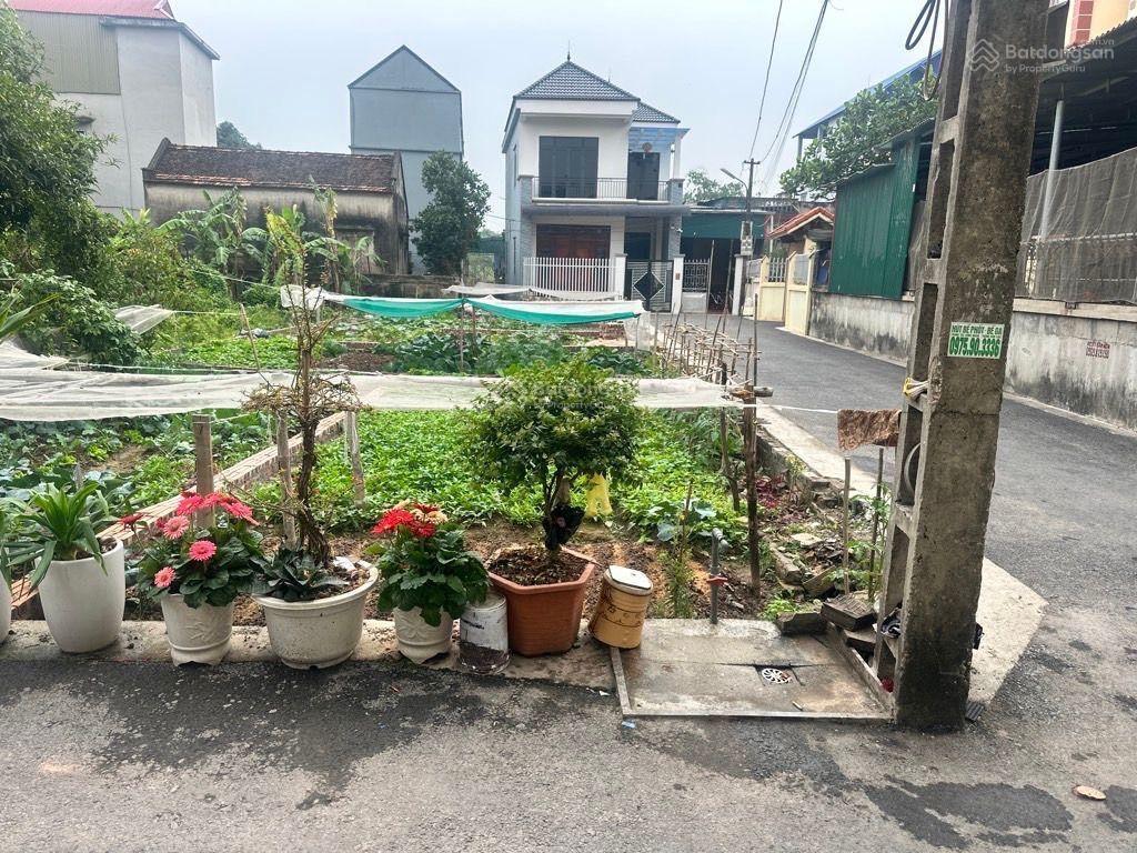 Chỉ hơn 2 tỷ sở hữu lô đất 45m2 đường trước nhà 6m ở khu công nghiệp tân quang như quỳnh sát vin 2,