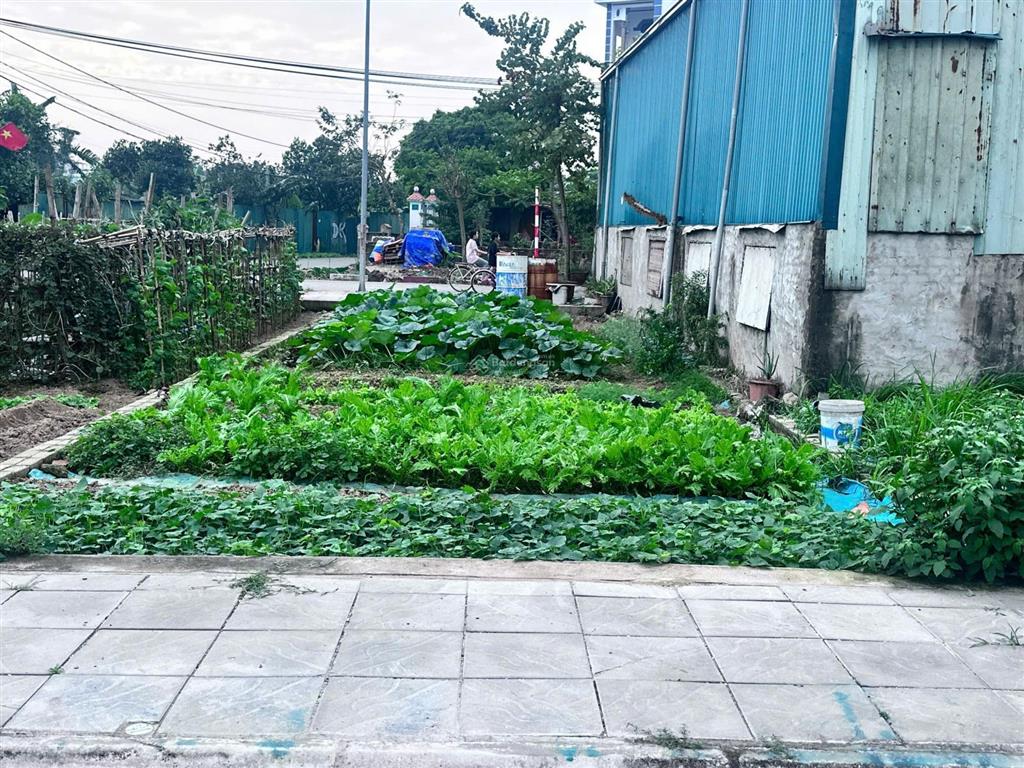 Khu công nghiệp tân quang chỉ 3.2 tỷ có lô đất 75m2 đường trước sau nhà 10m kinh doanh buôn bán ok