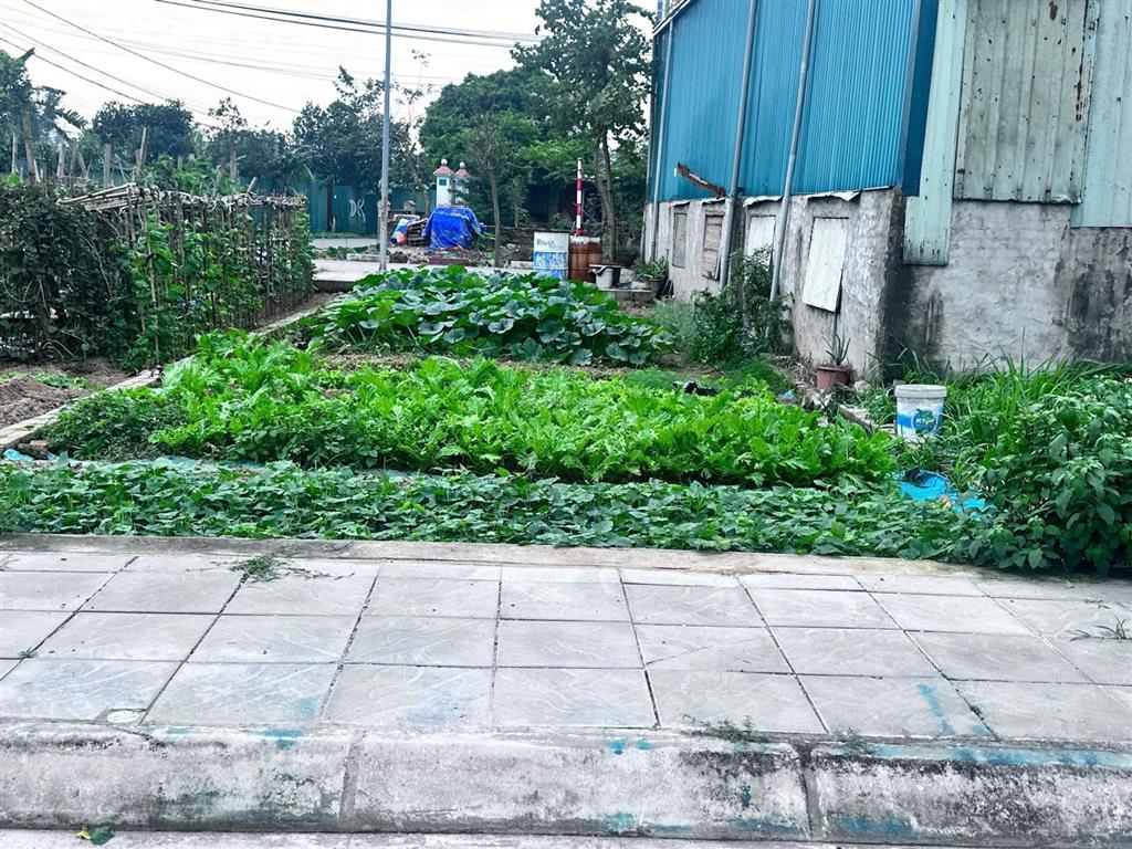 Khu công nghiệp tân quang chỉ 3.2 tỷ có lô đất 75m2 đường trước sau nhà 10m kinh doanh buôn bán ok