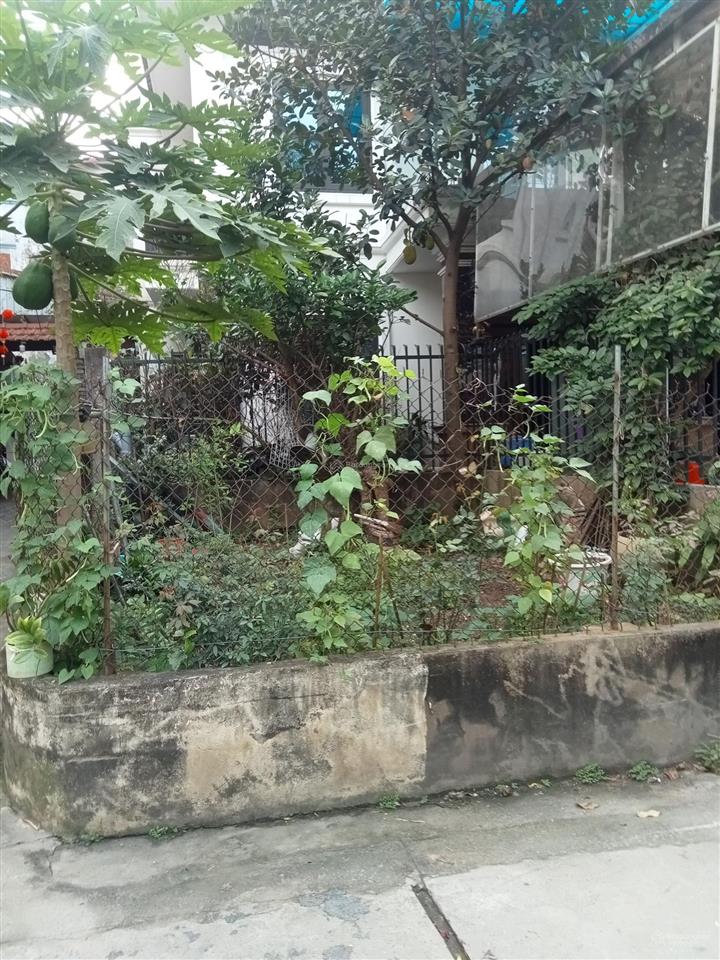 Khu vực thạch bàn có 1 lô duy nhất giá chỉ 5 tỷ 40m2 đường trước nhà ô tô tránh ib nhanh để sở hữu