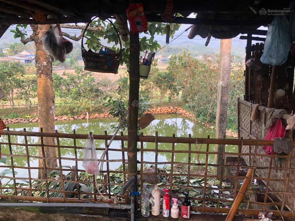 Sở hữu cả khu nhà vườn hơn 2.500m2 thôn đại phú, sơn dương, tuyên quang. cơ hội đầu tư hiếm có