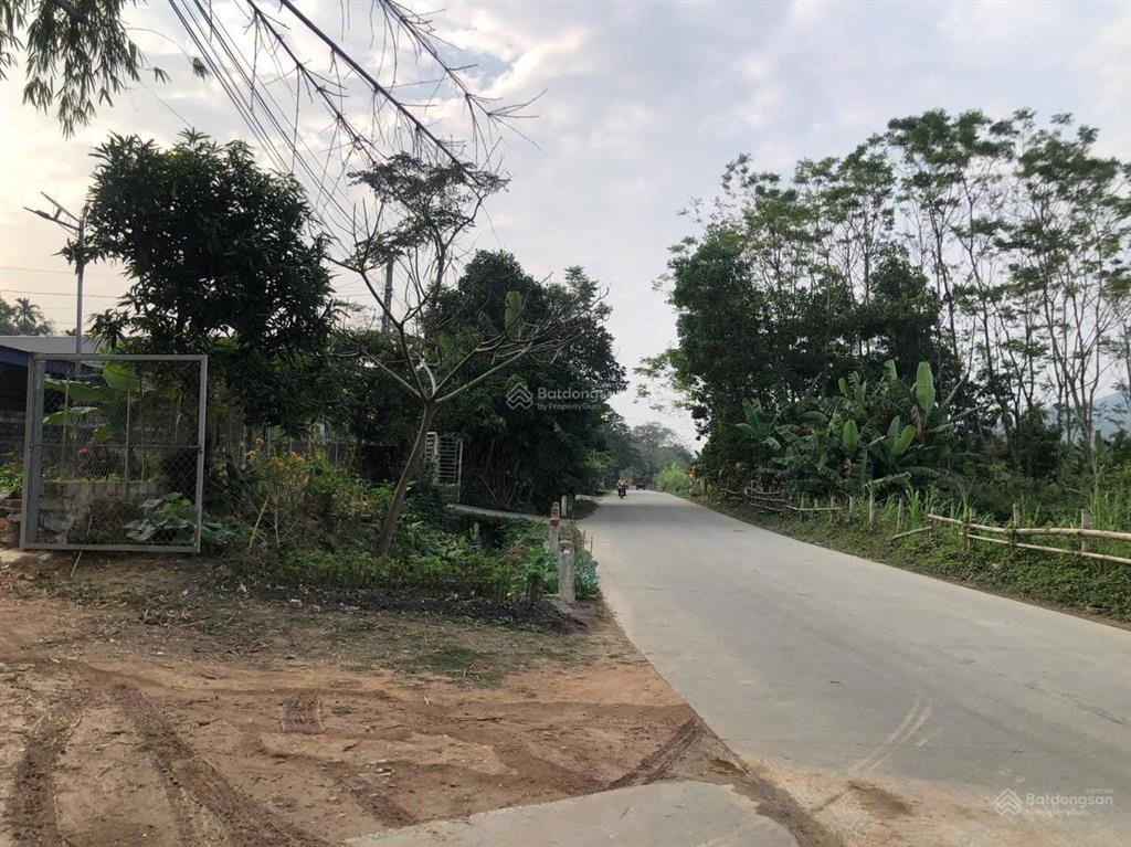 Sở hữu cả khu nhà vườn hơn 2.500m2 thôn đại phú, sơn dương, tuyên quang. cơ hội đầu tư hiếm có