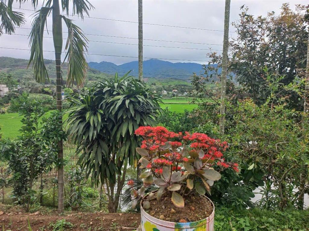 Sở hữu cả khu nhà vườn hơn 2.500m2 thôn đại phú, sơn dương, tuyên quang. cơ hội đầu tư hiếm có