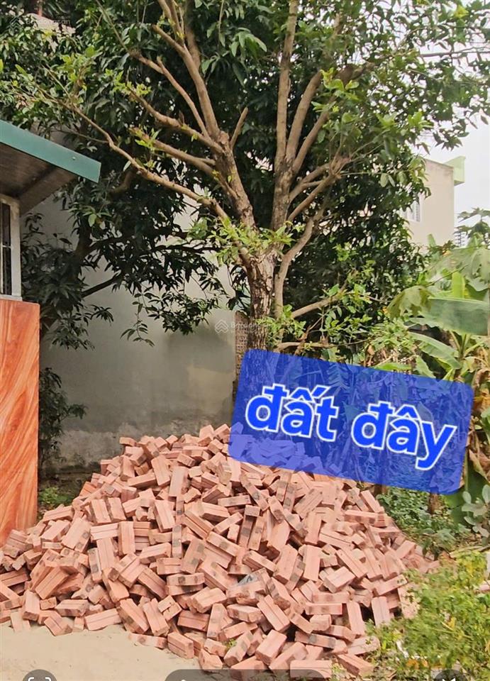 Ngay tại liên bảo, vĩnh yên, vĩnh phúc chỉ 1,8xxx sở hữu ngay 158m2 hàng cực hiếm
 vị trí đẹp cá