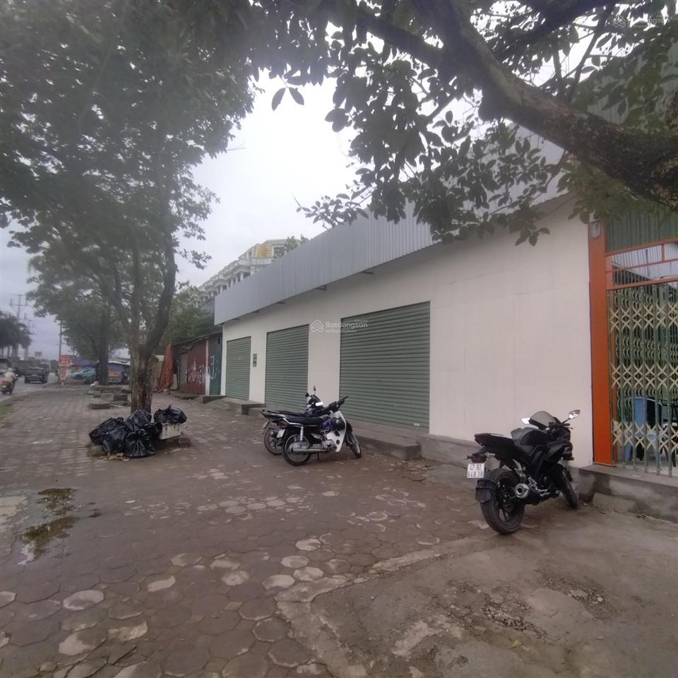 Cho thuê mặt bằng kd phố lê trọng tấn, gần thiên đường bảo sơn, an khánh, hđ, hn. 300m2, 75tr