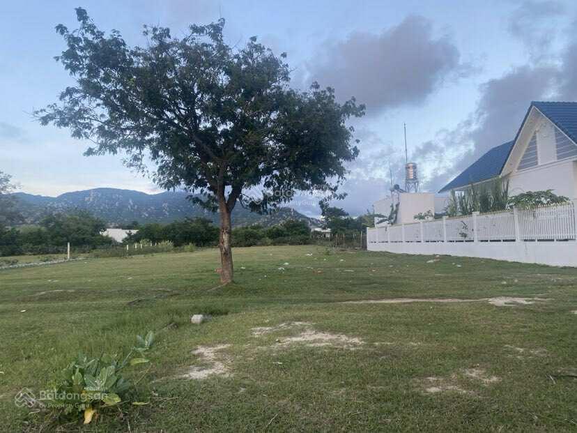 Chính chủ cần bán đất nông nghiệp 1994m2, ngay sảnh cưới hạnh nữ, nhơn hải. giá 2 tỷ thương lượng