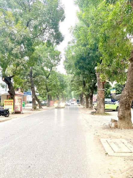 Giảm 1 tỷ triệu bán đất dịch vụ khu a yên nghĩa 52 m2, mặt tiền 5,2m, không lỗi 11 tỷ