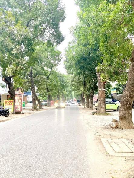 Giảm 1 tỷ bán nhà c4 đấu giá mậu lương 60 m2, mặt tiền 5m 12,6 tỷ đường 12m