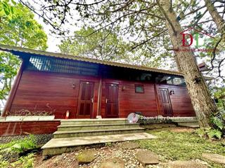 Khu biệt phủ đồi thông robin đống đa khuôn viên 3000m2 đất ở tư nhân cực hiếm