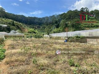 Đất thổ cư 2 mặt tiền triệu việt vương đà lạt view thông