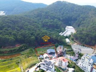 Khu đất view trực diện thông nguyên sinh đà lạt, 5013m2 đường hoàng hoa thám