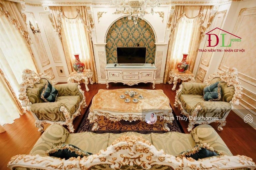 Biệt thự đôi mặt tiền yết kiêu, dã tượng phong cách hoàng gia