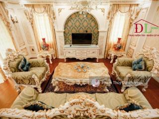 Biệt thự đôi mặt tiền yết kiêu, dã tượng phong cách hoàng gia