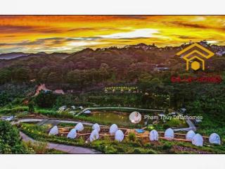 Khu đất hơn 3 ha sổ hồng tư nhân, mặt tiền đường khe sanh đà lạt, view thung lũng xanh