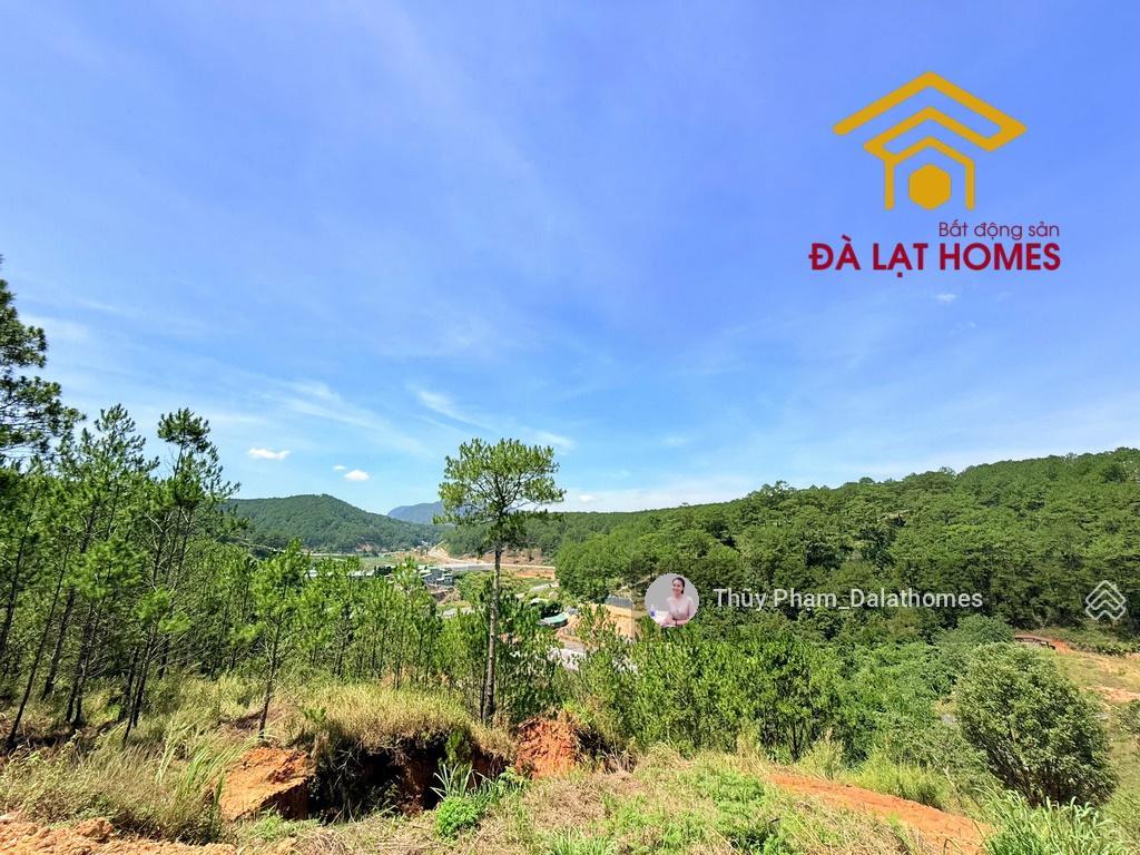 Bán đất kqh an sơn đà lạt | khu biệt thự mới view rừng thông bao quát