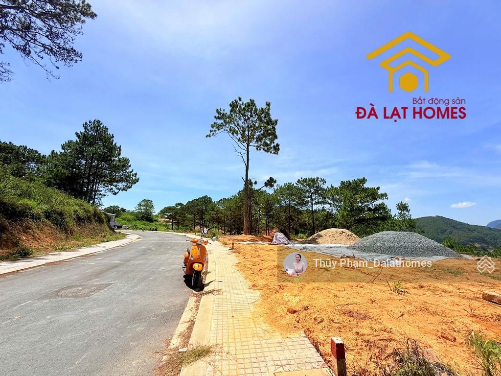Bán đất kqh an sơn đà lạt | khu biệt thự mới view rừng thông bao quát