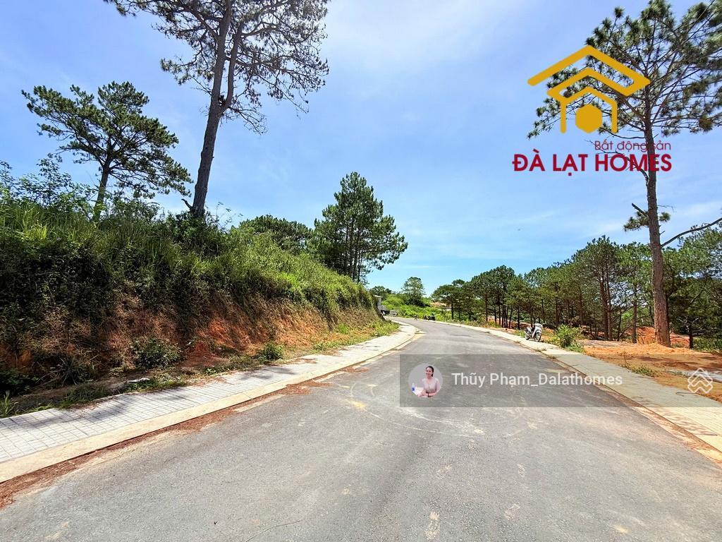 Bán đất kqh an sơn đà lạt | khu biệt thự mới view rừng thông bao quát