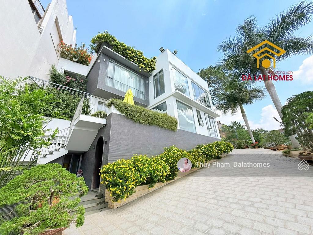 Bán cụm 4 căn biệt thự đường ba tháng tư đà lạt | view thung lũng thông trực diện