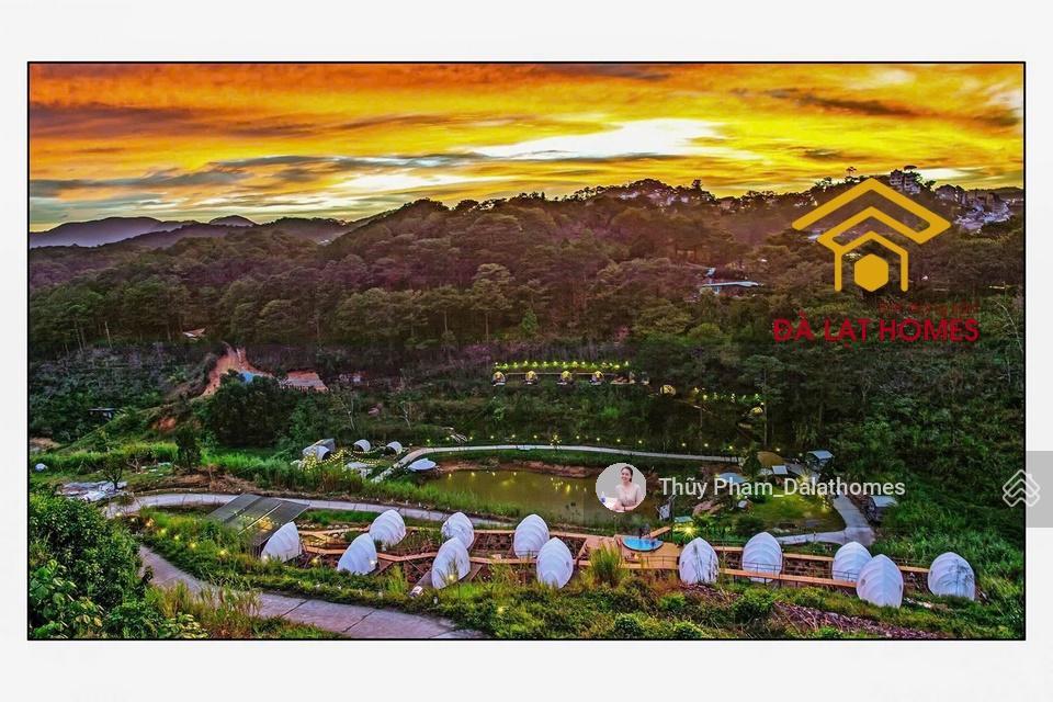 Bán khu đất lớn đường khe sanh đà lạt | 3,1 hecta mặt tiền đường chính view thung lũng