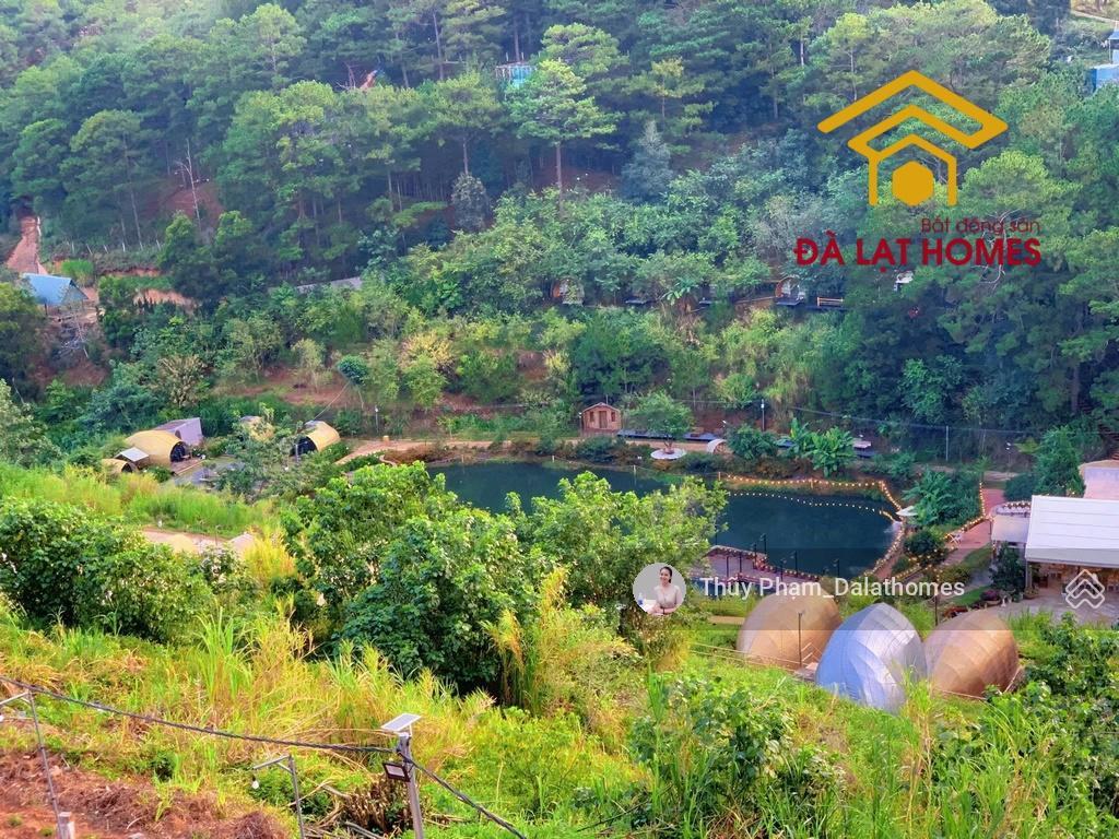 Bán khu đất lớn đường khe sanh đà lạt | 3,1 hecta mặt tiền đường chính view thung lũng