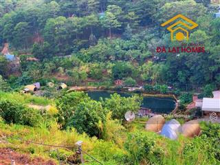 Bán khu đất lớn đường khe sanh đà lạt | 3,1 hecta mặt tiền đường chính view thung lũng