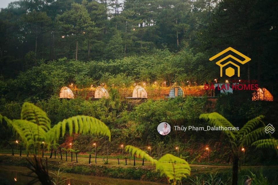 Bán khu đất lớn đường khe sanh đà lạt | 3,1 hecta mặt tiền đường chính view thung lũng