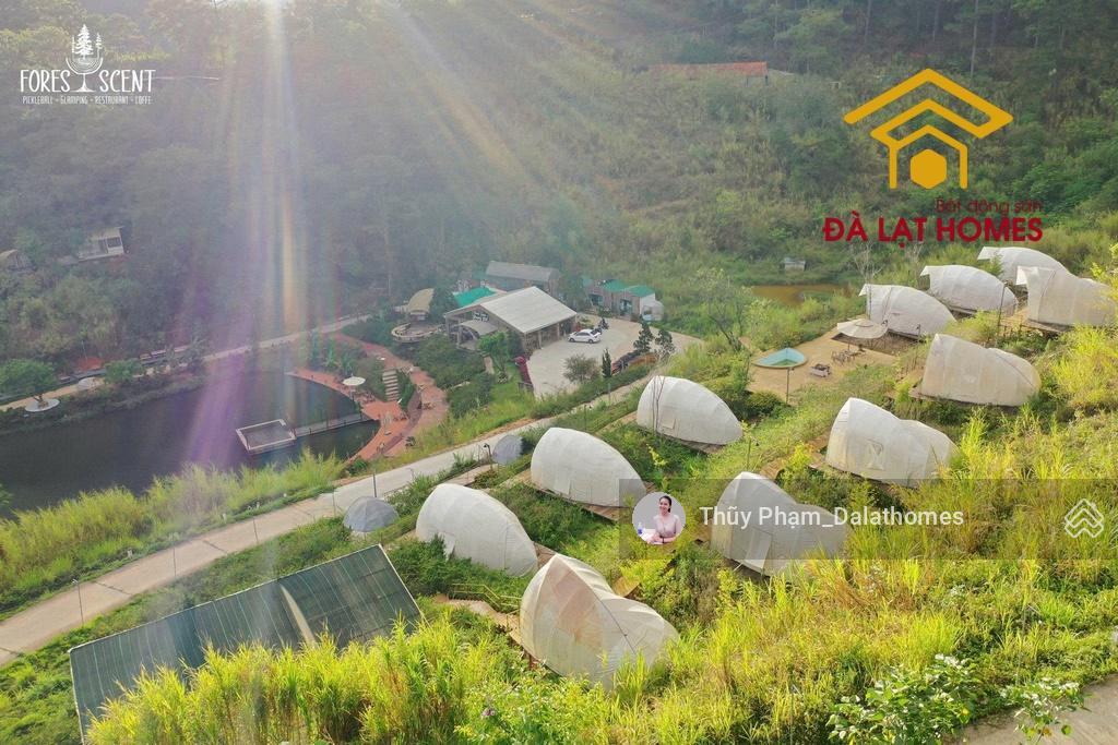 Bán khu đất lớn đường khe sanh đà lạt | 3,1 hecta mặt tiền đường chính view thung lũng