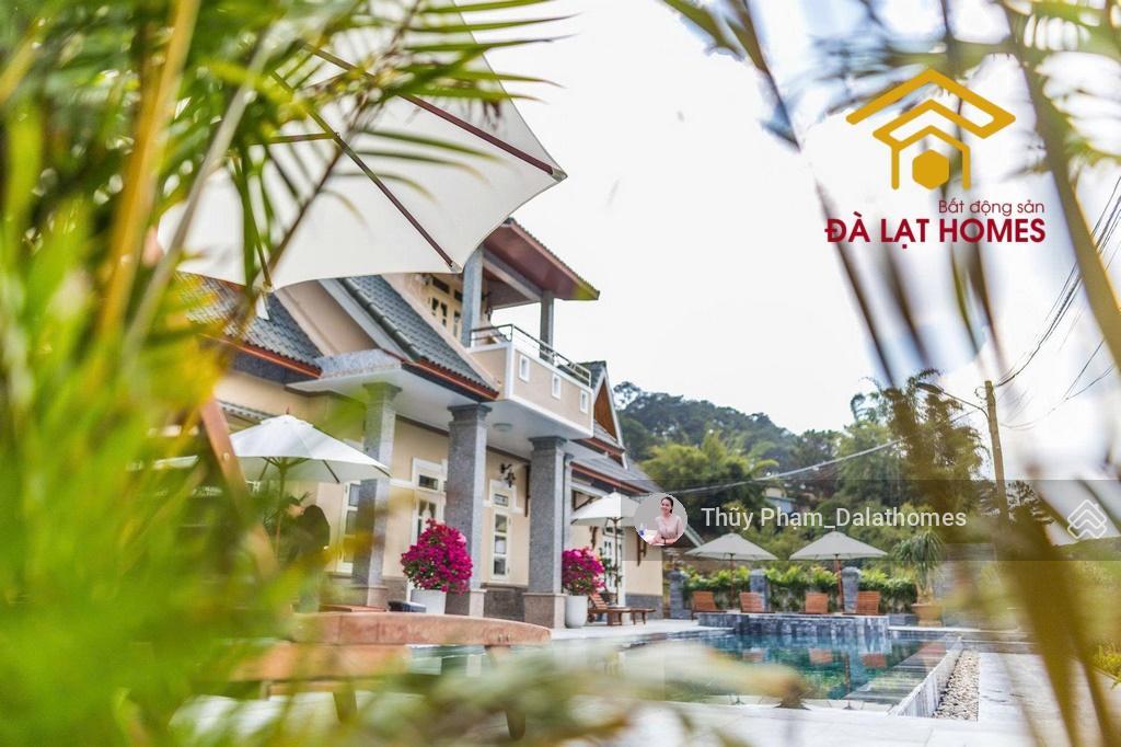 Bán khu resort sinh thái đường khe sanh đà lạt | khuôn viên 1,3 ha mặt tiền đường chính view thông