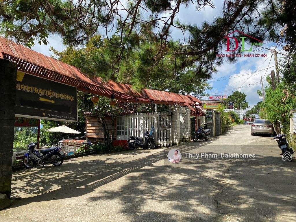 Bán đất đường trần quang diệu đà lạt, cách cổng dinh i 50m view rừng thông