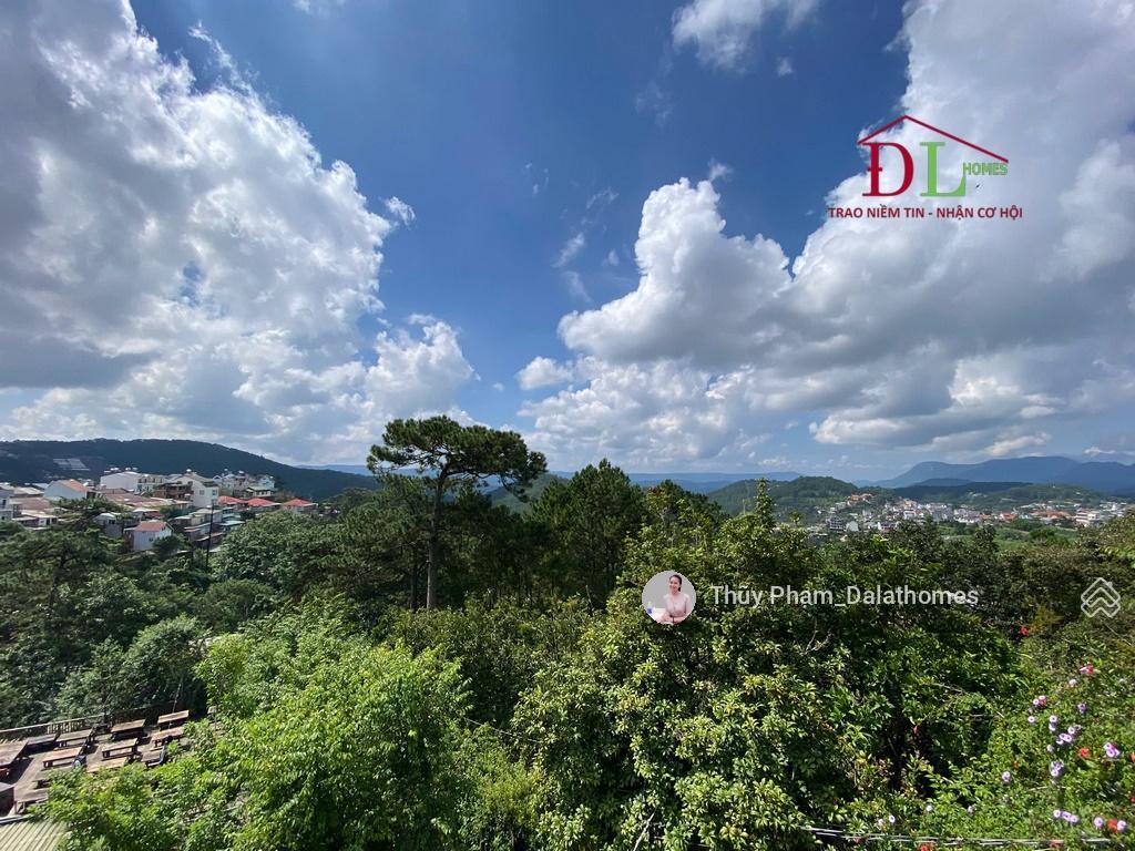 Bán đất đường trần quang diệu đà lạt, cách cổng dinh i 50m view rừng thông