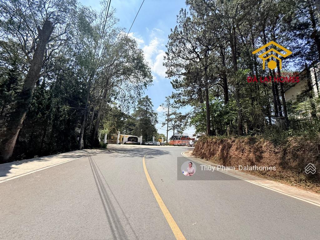 Bán đất đường trần quang diệu đà lạt, cách cổng dinh i 50m view rừng thông