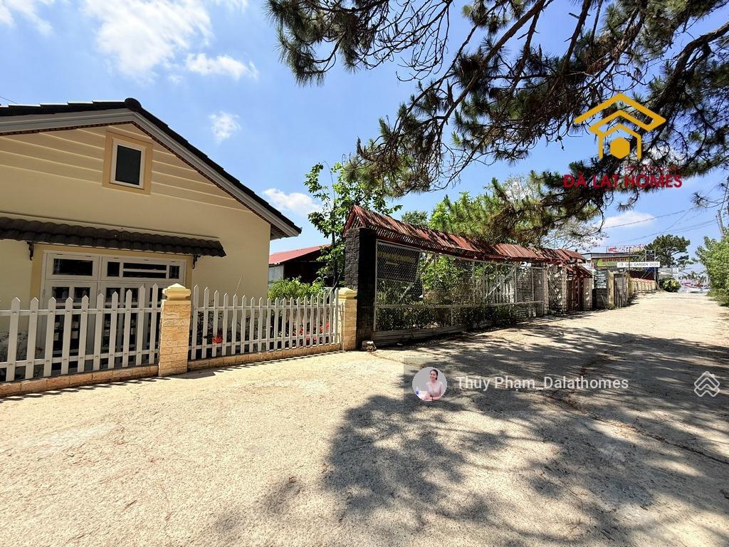 Bán đất đường trần quang diệu đà lạt, cách cổng dinh i 50m view rừng thông
