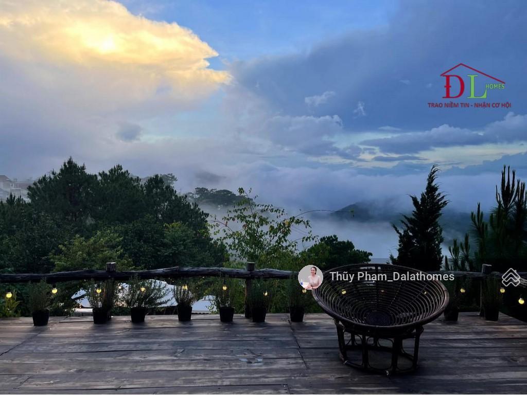 Bán đất đường trần quang diệu đà lạt, cách cổng dinh i 50m view rừng thông