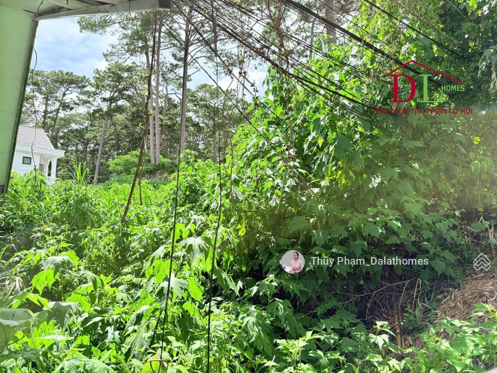 Bán đất đường lê văn tám đà lạt | mặt tiền đường chính view thông