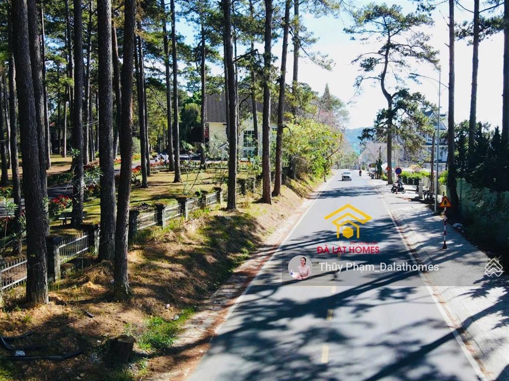 Bán biệt thự đường khởi nghĩa bắc sơn đà lạt | mặt tiền đường chính view thông
